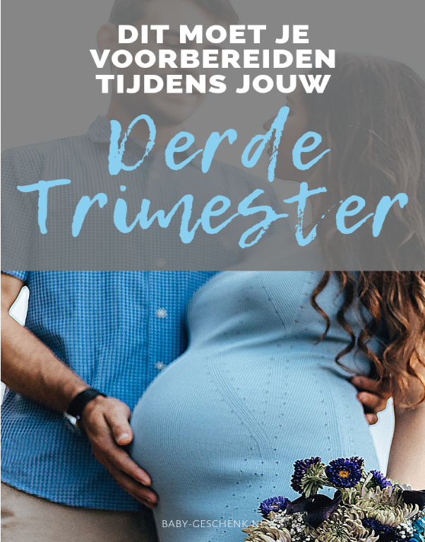 Derde Trimester